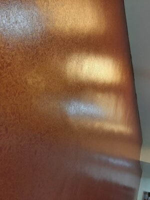 WhatsApp Image 2025-08-17 at 9.09.03 PM