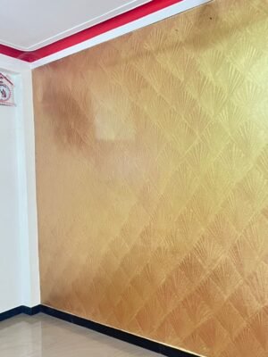 WhatsApp Image 2025-08-17 at 9.09.08 PM